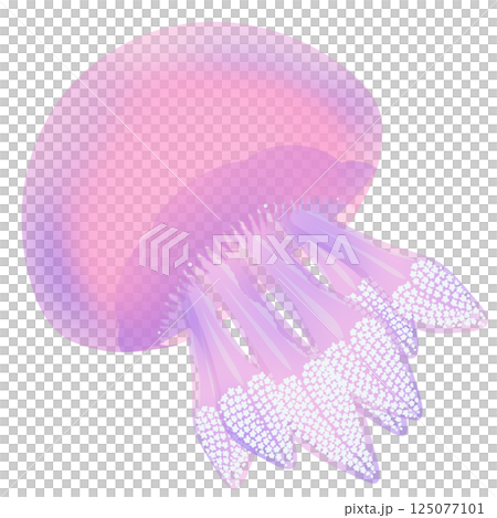 カラージェリーフィッシュ_桃色 125077101