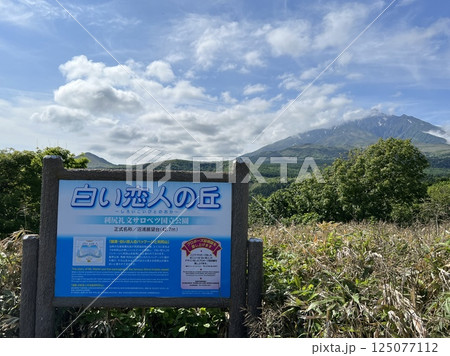 利尻島、沼浦展望台、白い恋人の丘 利尻島、沼浦展望台、白い恋人の丘 125077112