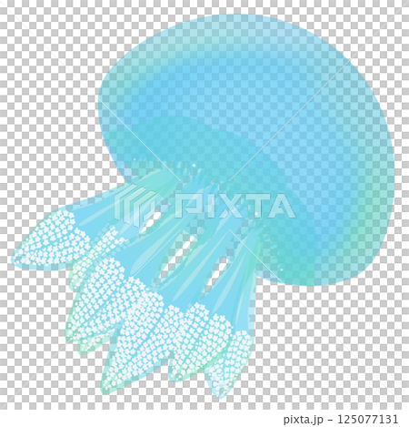 顏色水母_淺藍色 顏色水母_淺藍色 125077131