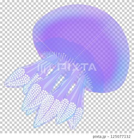 カラージェリーフィッシュ_紫 125077132