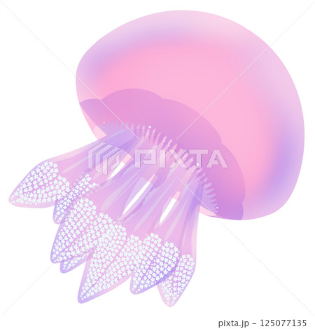 カラージェリーフィッシュ_桃色 125077135