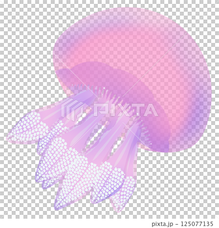 カラージェリーフィッシュ_桃色 125077135