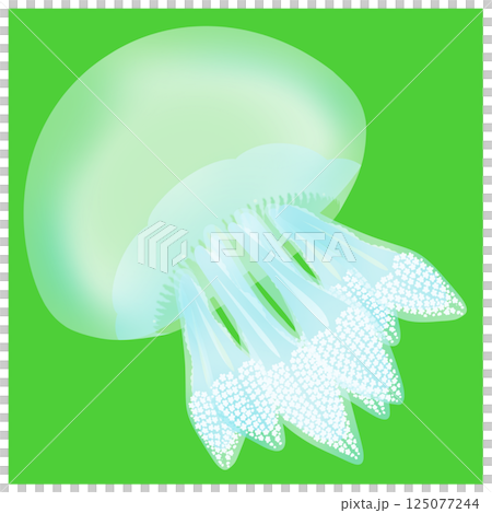 Color Jellyfish_Green Color Jellyfish_Green 125077244