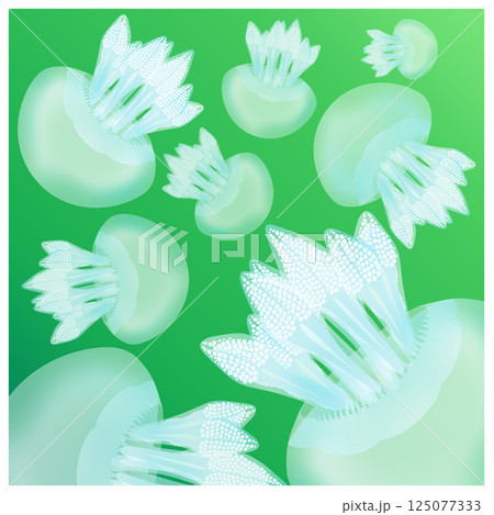 カラージェリーフィッシュ_緑 125077333