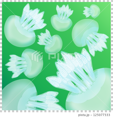 カラージェリーフィッシュ_緑 125077333