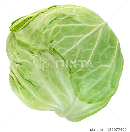 raw cabbage isolated. raw cabbage isolated. 125077462