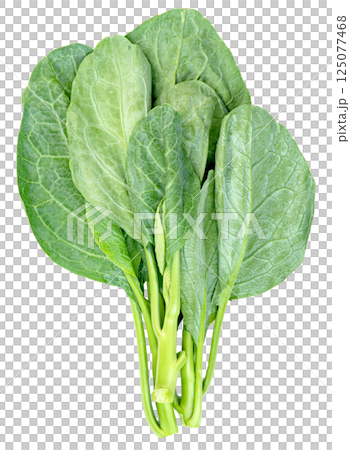 Chinese kale isolated,Green leaves of collards pattern Chinese kale isolated,Green leaves of collards pattern 125077468