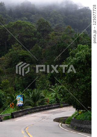 A winding road through dense jungle greenery invites exploration of Koh Phangan natural beauty. A winding road through dense jungle greenery invites exploration of Koh Phangan natural beauty. 125077728