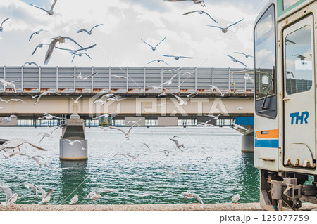 浜松市にある天竜浜名湖鉄道の浜名湖佐久米駅で飛び交うカモメたちと電車の風景(静岡県) 125077759