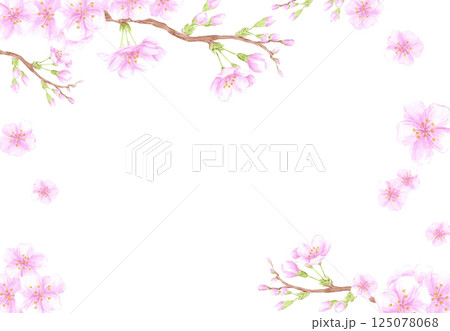 Hand drawn watercolor cherry blossom branch frame border. Illustration of flowers isolated on white background. Can be used for business card, scrapbook and other printed products. 125078068