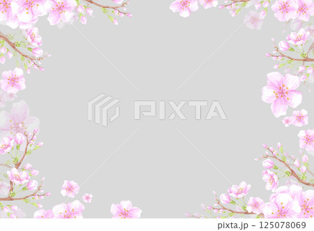 Hand drawn watercolor cherry blossom branch frame border. Illustration of flowers isolated on grey background. Can be used for business card, invitation, scrapbook and other printed products. Hand drawn watercolor cherry blossom branch frame border. Illustration of flowers isolated on grey background. Can be used for business card, invitation, scrapbook and other printed products. 125078069