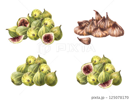 Figs fruit set. Watercolor painted pile of ripe, juicy fresh and dried fig. Picked whole and sliced fruit. Food, plant clipart for price tag, cosmetic, jam label. illustration isolated from background 125078170