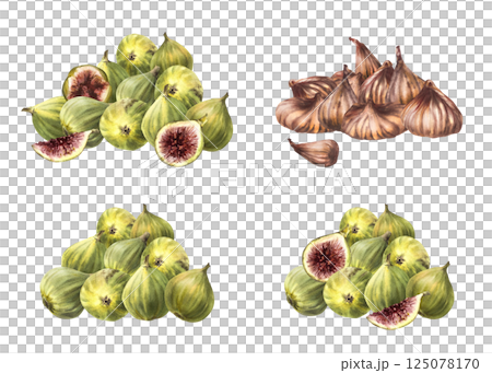 Figs fruit set. Watercolor painted pile of ripe, juicy fresh and dried fig. Picked whole and sliced fruit. Food, plant clipart for price tag, cosmetic, jam label. illustration isolated from background 125078170