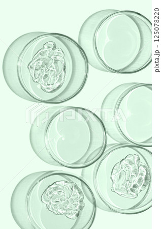 A sample of skin serum or moisturizing gel in a Petri dish. A cosmetic product. 125078220