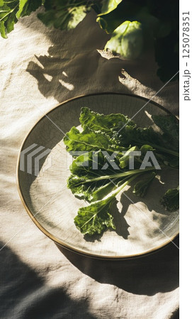 Leafy greens on a ceramic plate with sunlight shadows creating a serene atmosphere Leafy greens on a ceramic plate with sunlight shadows creating a serene atmosphere 125078351
