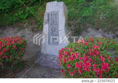 愛媛県四国中央市 川之江城の石碑 愛媛県四国中央市 川之江城の石碑 125078521