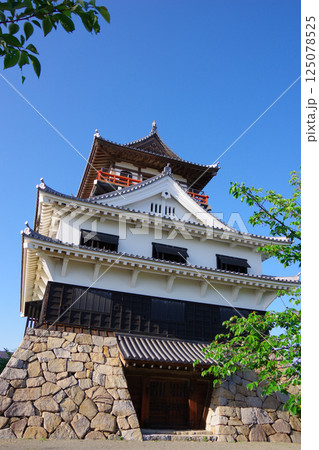 愛媛県四国中央市　川之江城 125078525