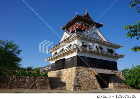 愛媛県四国中央市　川之江城 125078526