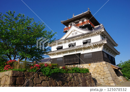 愛媛県四国中央市 川之江城 愛媛県四国中央市 川之江城 125078532