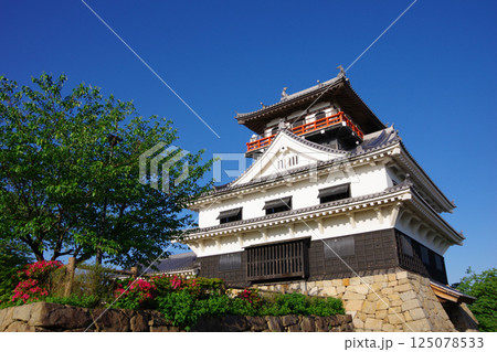 愛媛県四国中央市 川之江城 愛媛県四国中央市 川之江城 125078533