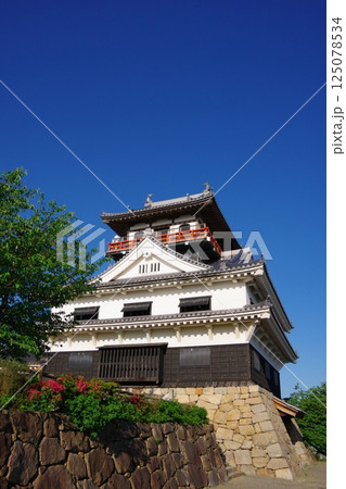 愛媛県四国中央市 川之江城 愛媛県四国中央市 川之江城 125078534