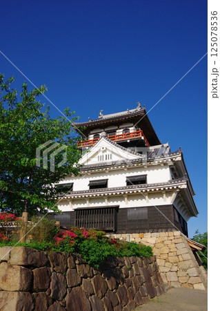 愛媛県四国中央市 川之江城 愛媛県四国中央市 川之江城 125078536