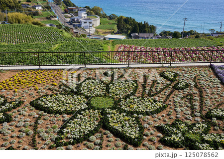 夢追い長島花フェスタ会場 125078562