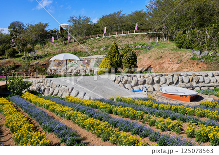 夢追い長島花フェスタ会場 125078563