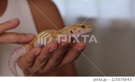 A woman holds a leopard gecko close to her chest, gently petting it. This image emphasizes the bond between humans and exotic pets, showcasing care and connection. A woman holds a leopard gecko close to her chest, gently petting it. This image emphasizes the bond between humans and exotic pets, showcasing care and connection. 125078643