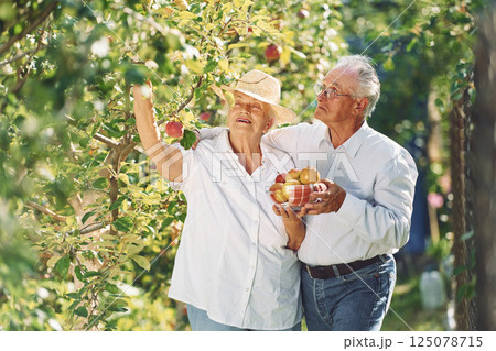 Lovely senior couple is in the garden together Lovely senior couple is in the garden together 125078715