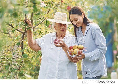 Holding fresh apples. Young woman is with her senior mother is in the garden 125078728