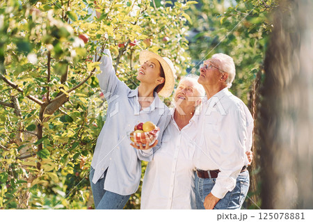 Holding fresh apples. Daughter is with her senior mother and father is in the garden 125078881