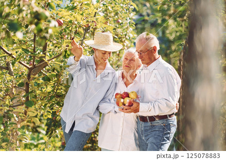 Holding fresh apples. Daughter is with her senior mother and father is in the garden Holding fresh apples. Daughter is with her senior mother and father is in the garden 125078883