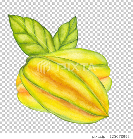 Watercolor starfruit. Averrhoa carambola or Bilimbi. Whole yellow fruit with green leaf foliage. Botanical exotic star apple. Hand drawn illustration isolated on white background. For menu 125078992