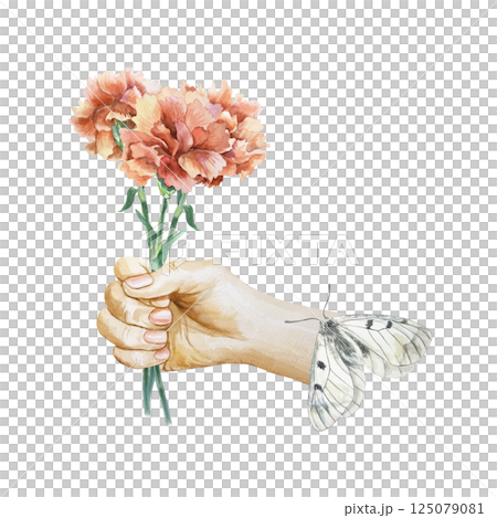 Red carnations bouquet in hand, butterfly Mnemosyne. Hand drawn watercolor illustration. Greeting cards for Revolution Day, Remembrance Day, Victory Day, Independence Day, invitations, posters. Red carnations bouquet in hand, butterfly Mnemosyne. Hand drawn watercolor illustration. Greeting cards for Revolution Day, Remembrance Day, Victory Day, Independence Day, invitations, posters. 125079081