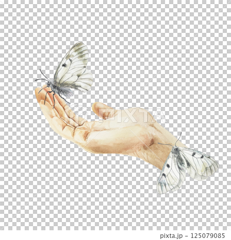 Human hand with butterflies. Hand drawn watercolor illustration isolated on white. For Mothers day greeting cards, birthday cards, invitations, labels, banners. 125079085
