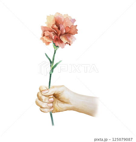 Red carnation in hand. Hand drawn watercolor illustration isolated on white. For greeting cards for Revolution Day, Remembrance Day, Victory Day, Independence Day, invitations, posters, labels. 125079087