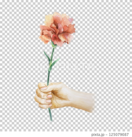Red carnation in hand. Hand drawn watercolor illustration isolated on white. For greeting cards for Revolution Day, Remembrance Day, Victory Day, Independence Day, invitations, posters, labels. 125079087