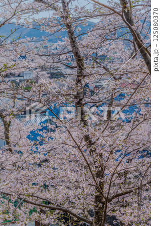 桜のある風景 桜のある風景 125080370