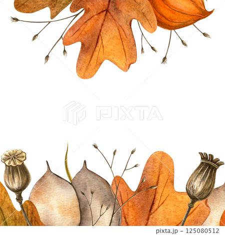 Oak leaves, poppy seed pods, physalis, lunaria autumn square frame. Seasonal fall bright watercolor isolated composition on white background. Invitation, postcard, card, sign, banner, Thanksgiving day 125080512