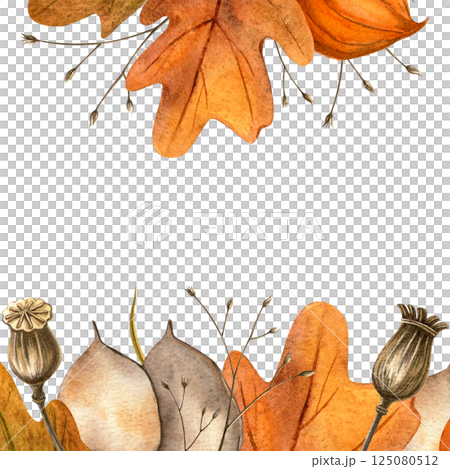 Oak leaves, poppy seed pods, physalis, lunaria autumn square frame. Seasonal fall bright watercolor isolated composition on white background. Invitation, postcard, card, sign, banner, Thanksgiving day 125080512