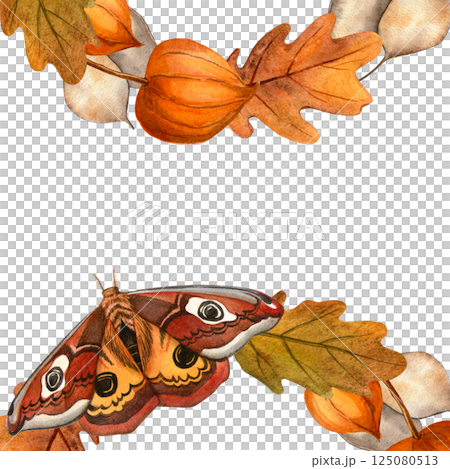 Autumn square frame with butterflies, fall leaves, physalis, lunaria. Elegant warm watercolor hand-drawn illustration on white background. Seasonal postcard, invitation, greeting card Thanksgiving day 125080513