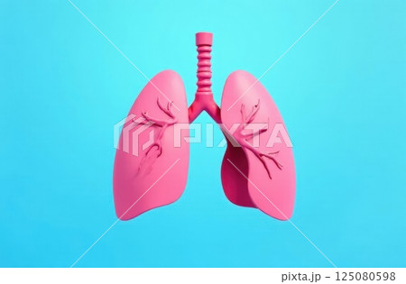 illustration of an isolated human organ. The lungs as a separate part of the human body from the respiratory system.  illustration of an isolated human organ. The lungs as a separate part of the human body from the respiratory system.  125080598