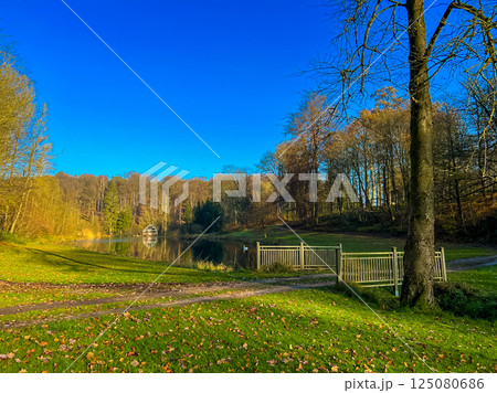Scenic autumn lake view in waterloo, belgium with trees and old fence 125080686