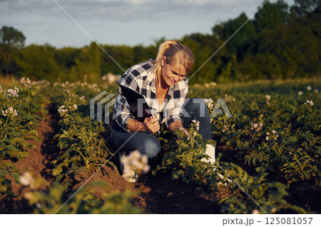 Quality control. Checking growing products. Woman is on the agricultural field at daytime Quality control. Checking growing products. Woman is on the agricultural field at daytime 125081057