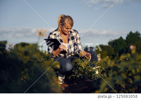 Quality control. Checking growing products. Woman is on the agricultural field at daytime Quality control. Checking growing products. Woman is on the agricultural field at daytime 125081058