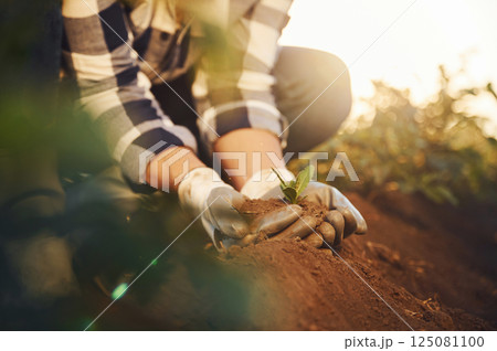 With an artichoke. Woman is on the agricultural field at daytime 125081100