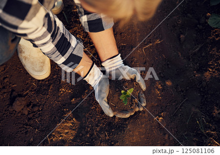 Planting an artichoke. Woman is on the agricultural field at daytime 125081106