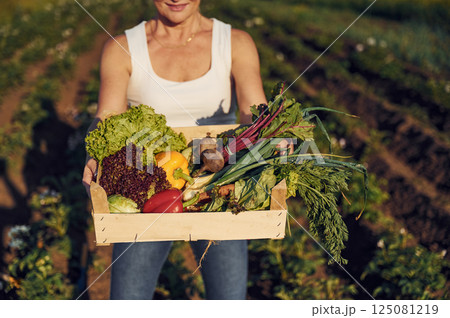Box with vegetables in hands. Woman is on the agricultural field at daytime 125081219