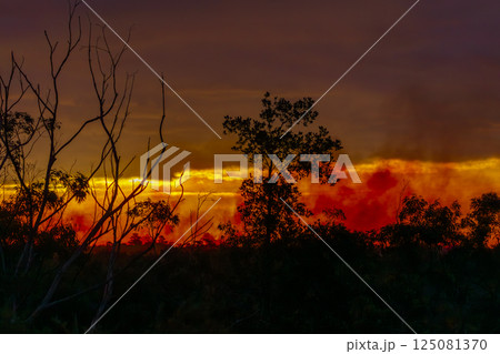Controlled hazard reduction burning to reduce bushfire risk Controlled hazard reduction burning to reduce bushfire risk 125081370